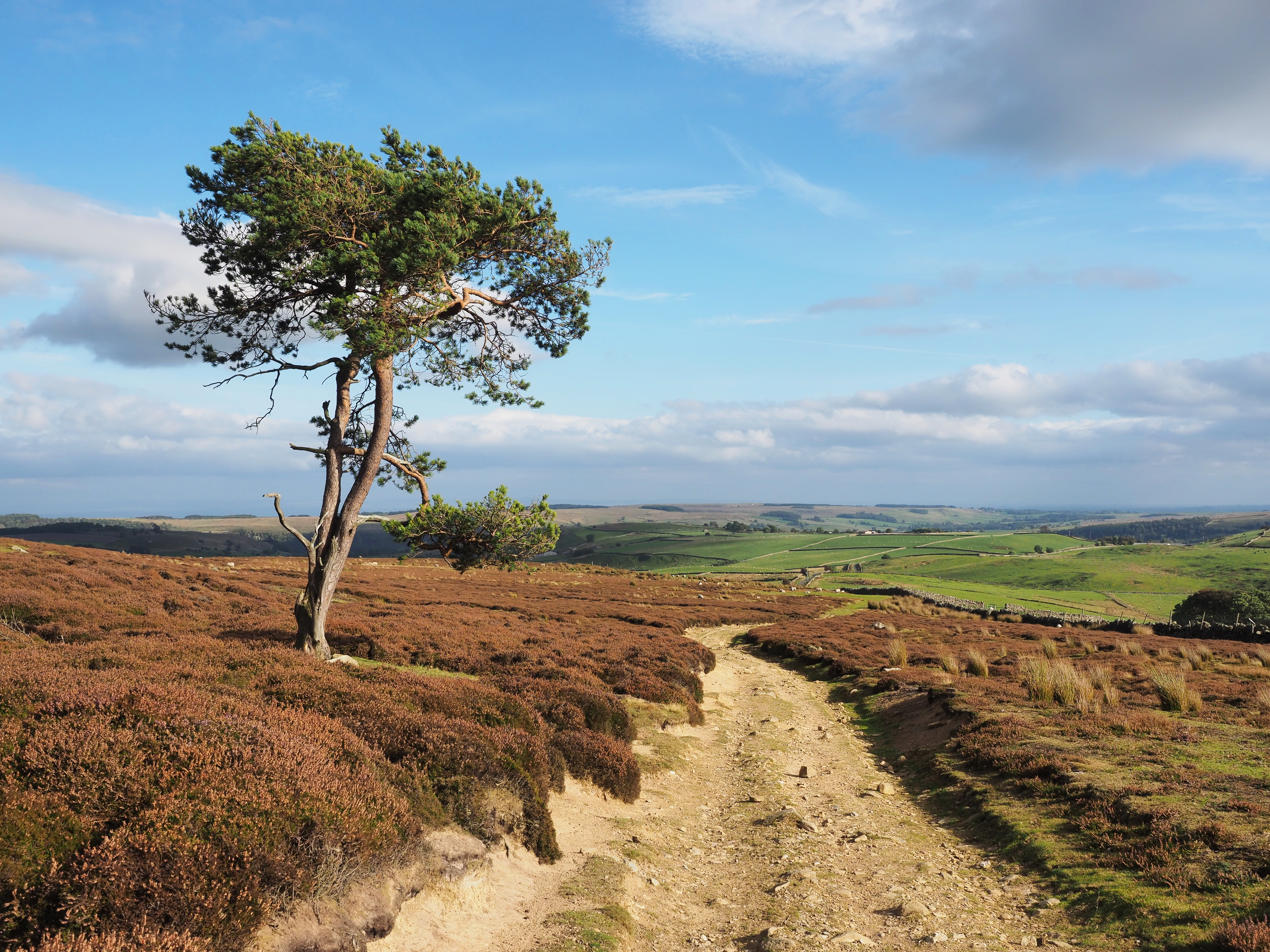 Track Track 2 — Wikimedia Commons