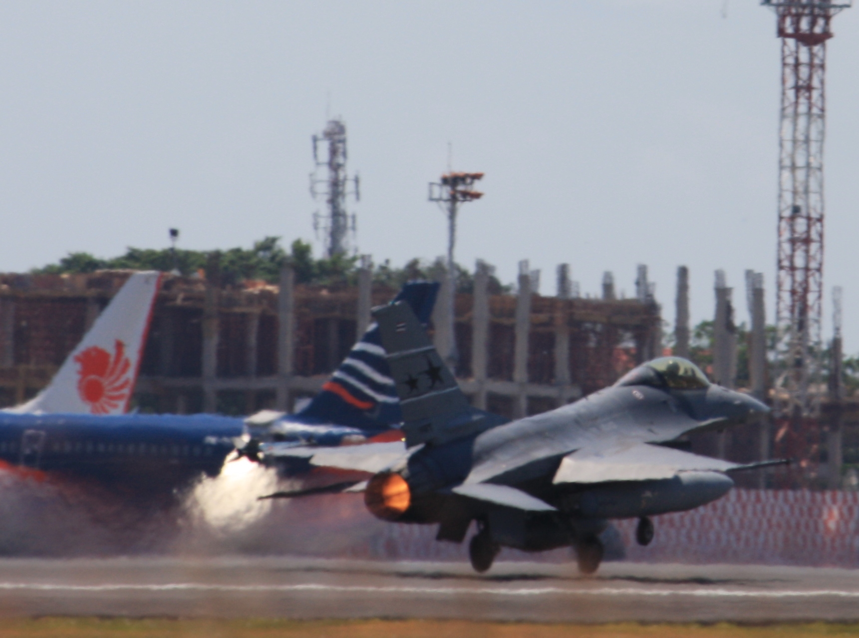 - Unidentified Falcon — Wikimedia Commons