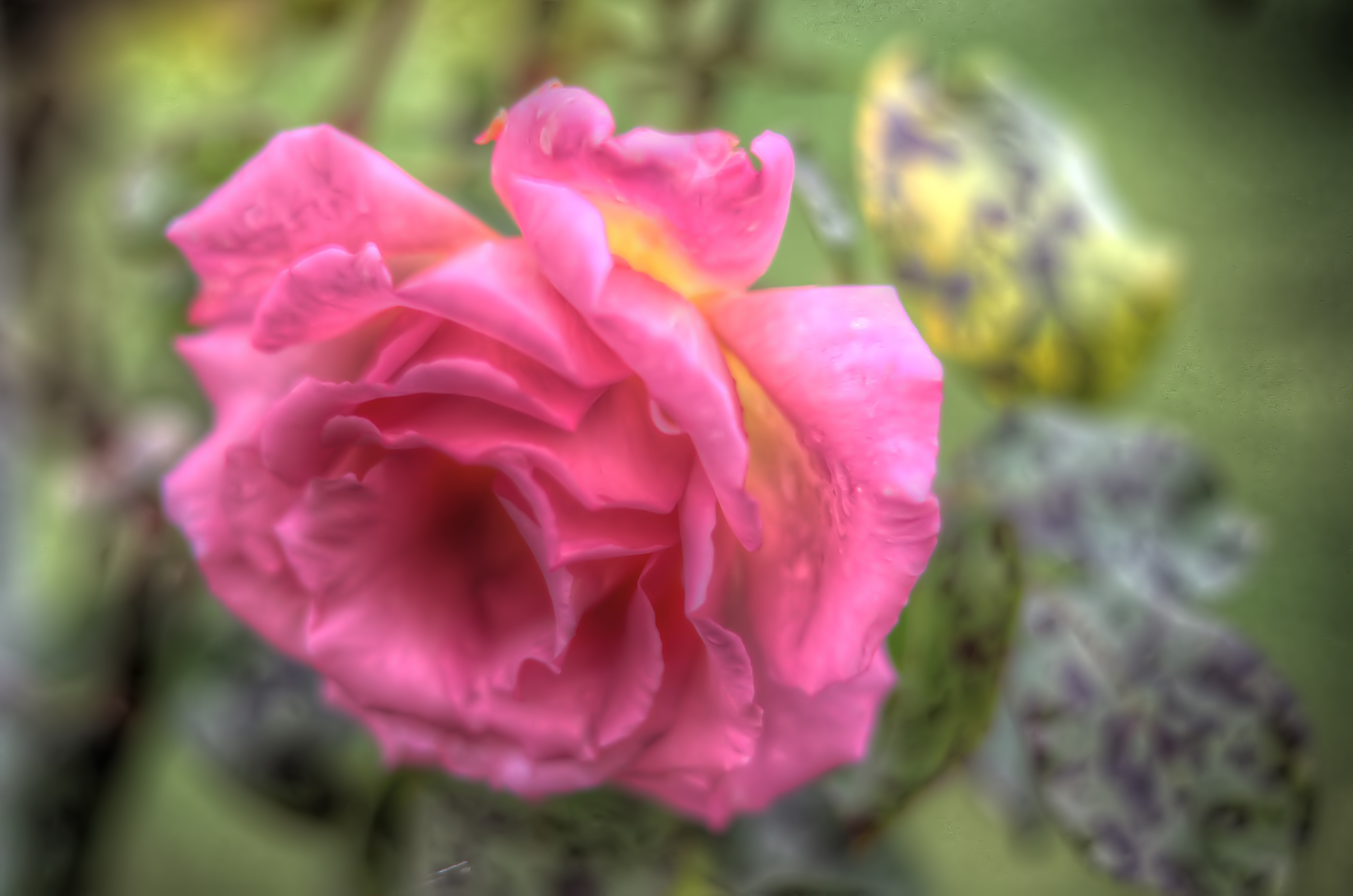 - Unidentified High Dynamic — Wikimedia Commons