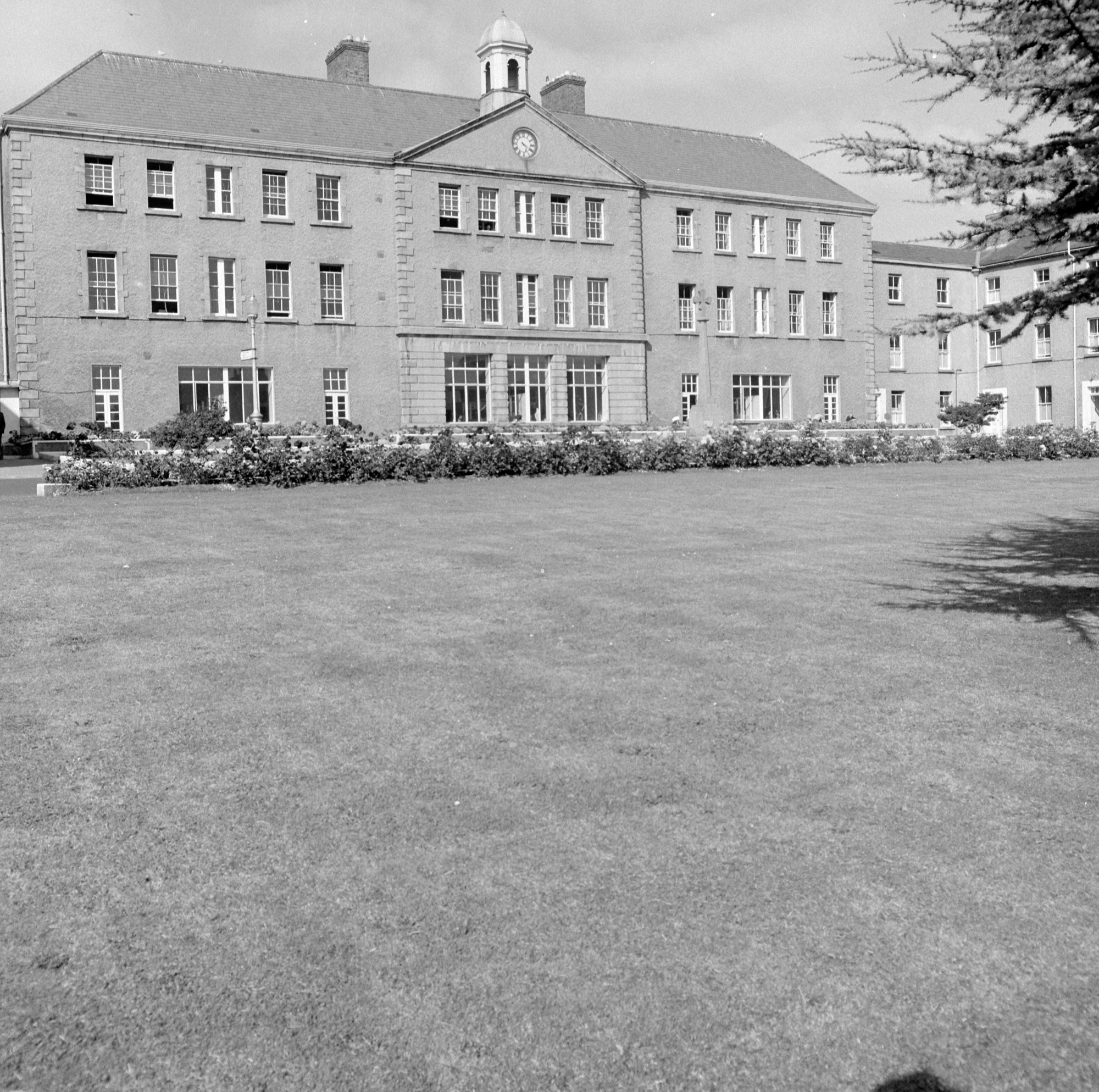 - Unidentified Royal Sound — Wikimedia Commons