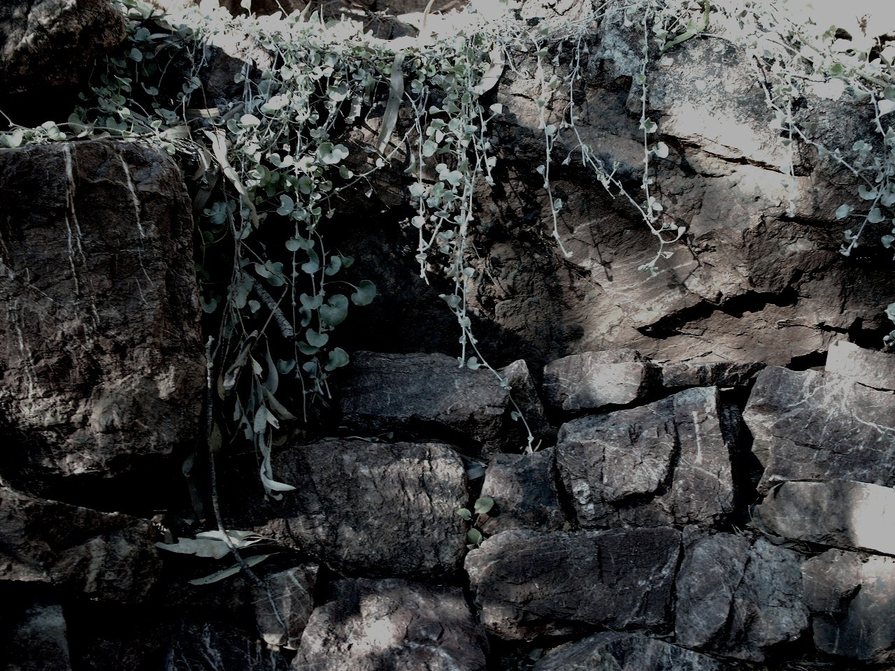 - Unidentified Silver Shadow — Wikimedia Commons