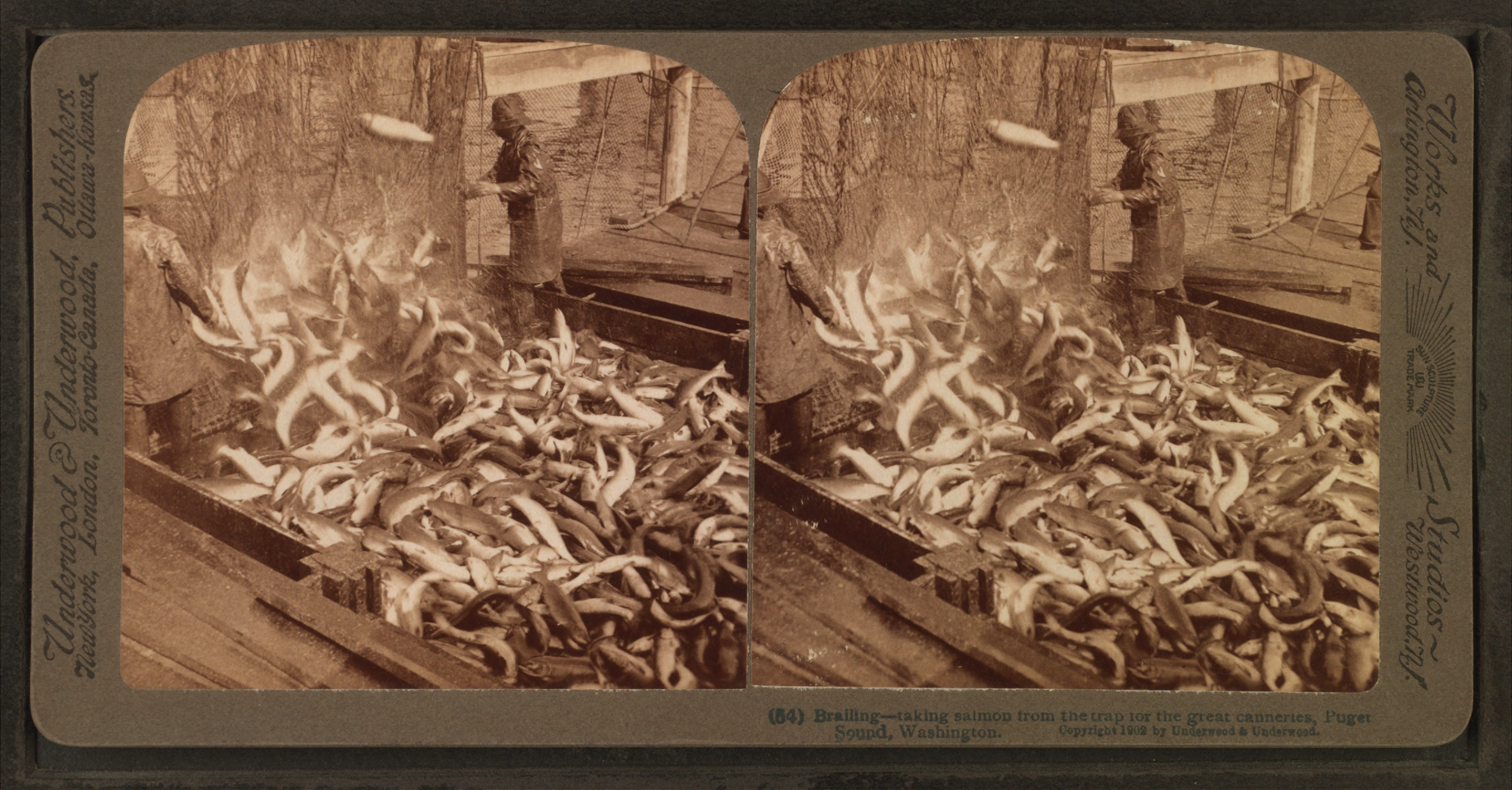 - Unidentified Stereo Sound — Wikimedia Commons