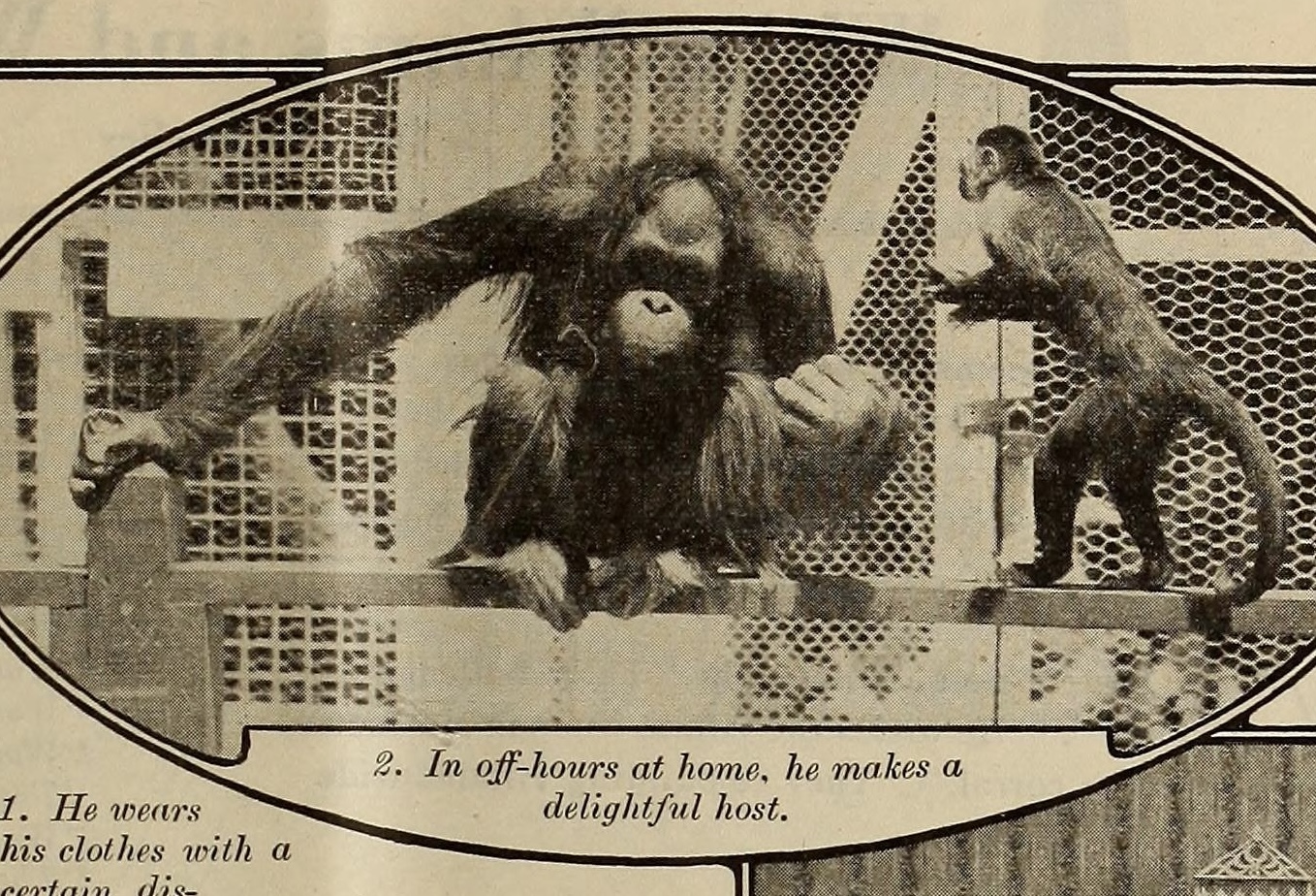 - Unidentified Universal — Wikimedia Commons